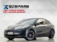 Tesla Model Y 2022 Performance All-Wheel Drive - ფოტო 1