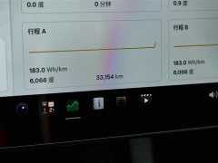 Tesla Model Y 2022 Performance All-Wheel Drive - ფოტო 10
