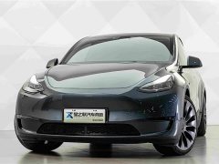 Tesla Model Y 2022 Performance All-Wheel Drive - ფოტო 3