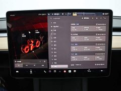 Tesla Model 3 2022 Rear-Wheel Drive - ფოტო 13