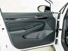 Volkswagen Golf 280TSI DSG R-Line 50th Anniversary Edition - ფოტო 16