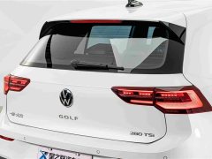 Volkswagen Golf 280TSI DSG R-Line 50th Anniversary Edition - ფოტო 8
