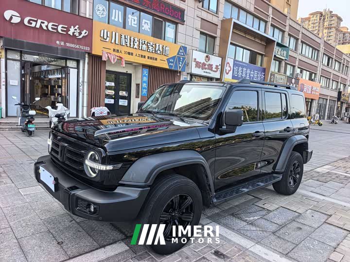 Tank 300 Off-Road Edition 2.0T Conqueror - ავტომობილი ჩინეთიდან