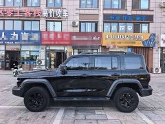 Tank 300 Off-Road Edition 2.0T Conqueror - ფოტო 7