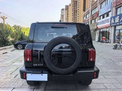 Tank 300 Off-Road Edition 2.0T Conqueror - ფოტო 8