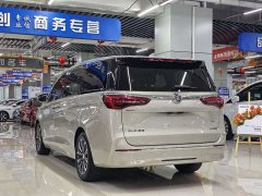 Buick GL8 ES Land Respect 653T Luxury - ფოტო 7