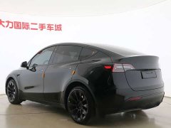 Tesla Model Y 2023 Long Range All-Wheel Drive - ფოტო 7