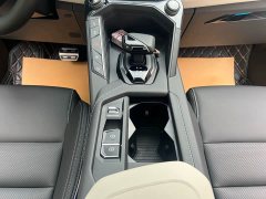 Lynk & Co Geely Lynk & Co 06 2021 1.5T Shero Pink Special Edition - ფოტო 19