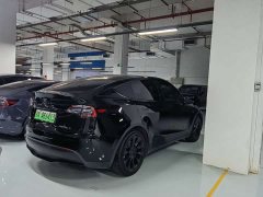 Tesla Model Y Rear-Wheel Drive - ფოტო 9