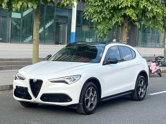 Alfa Romeo Stelvio 2020 2.0T 280HP Luxury - ფოტო 1
