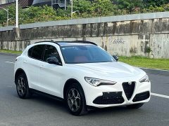 Alfa Romeo Stelvio 2020 2.0T 280HP Luxury - ფოტო 2