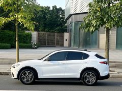 Alfa Romeo Stelvio 2020 2.0T 280HP Luxury - ფოტო 7