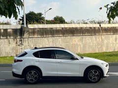 Alfa Romeo Stelvio 2020 2.0T 280HP Luxury - ფოტო 8