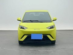 BYD Seagull Glory Edition 305km Vitality Version - ფოტო 2