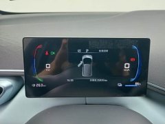 BYD Seagull Glory Edition 305km Vitality Version - ფოტო 6