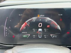 Trumpchi Leopard 400T Automatic R PRO - ფოტო 12