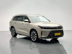 AITO Wenjie M7 1.5T RWD Comfort Edition - ფოტო 8