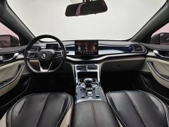 BYD Qin Plus 2021 DM-i 55KM Flagship - ფოტო 6