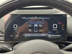 BYD Dolphin Champion Edition 700km Performance Version - ფოტო 19