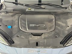 BYD Dolphin Champion Edition 700km Performance Version - ფოტო 4