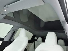 Tesla Model Y Rear-Wheel Drive - ფოტო 8