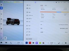 Zeekr Geely Zeekr 8X Max 55kWh - ფოტო 18