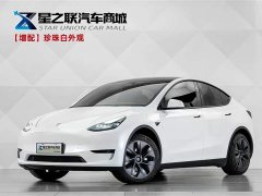 Tesla Model Y Rear-Wheel Drive - ფოტო 1