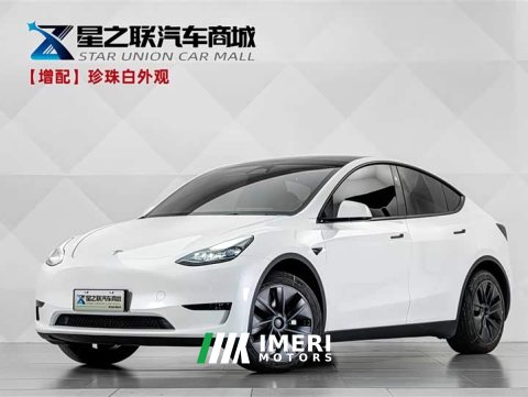 2024 Tesla Model Y Rear-Wheel Drive - ავტომობილი ჩინეთიდან