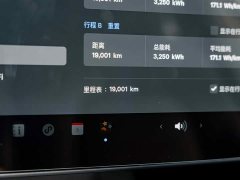 Tesla Model Y Rear-Wheel Drive - ფოტო 11
