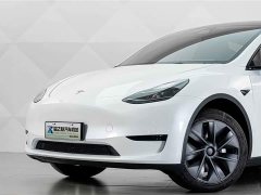 Tesla Model Y Rear-Wheel Drive - ფოტო 3