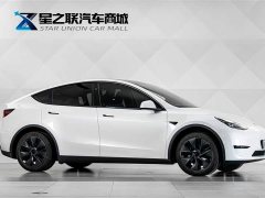 Tesla Model Y Rear-Wheel Drive - ფოტო 5