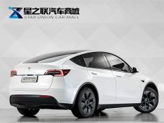 Tesla Model Y Rear-Wheel Drive - ფოტო 6