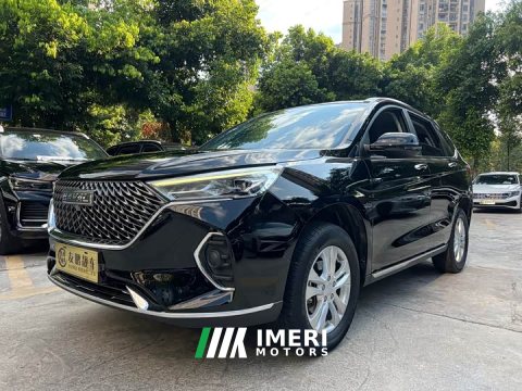 2022 Haval M6 2021 PLUS 1.5T Manual Luxury Smart Connected Edition - ავტომობილი ჩინეთიდან