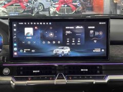 Tank 400 New Energy 2024 Hi4-T Off-Road Edition - ფოტო 10