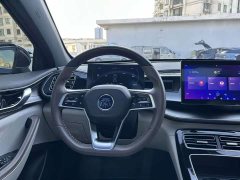 BYD Qin PLUS Champion Edition DM-i 55KM Exceed - ფოტო 13
