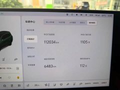 Li Auto L9 Pro - ფოტო 19