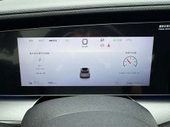 BYD Haima Lion 07 EV 610 Long Range Edition - ფოტო 12