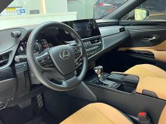Lexus ES 2021 300h Excellence - ფოტო 8