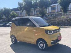 Wuling Hongguang MINIEV Macaron Premium Edition LFP - ფოტო 3