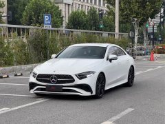 Mercedes-Benz CLS 300 Dynamic - ფოტო 1