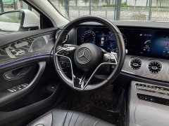 Mercedes-Benz CLS 300 Dynamic - ფოტო 18