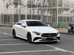 Mercedes-Benz CLS 300 Dynamic - ფოტო 3