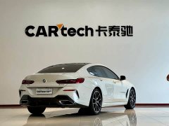 BMW 8 Series 840i Four-Door Coupe M Sport Package - ფოტო 19