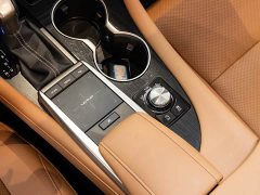 Lexus RX 2020 Facelift 300 AWD Elegance - ფოტო 18