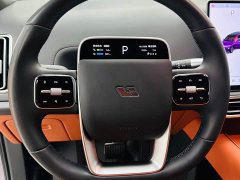 Li Auto L9 2023 Pro - ფოტო 14