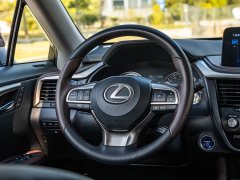 Lexus RX 2020 450h AWD Premium Edition - ფოტო 14
