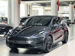 Tesla Model Y Rear-Wheel Drive - ფოტო 1