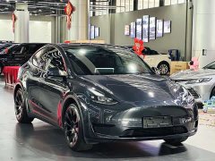 Tesla Model Y Rear-Wheel Drive - ფოტო 3