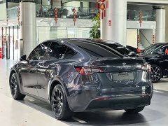 Tesla Model Y Rear-Wheel Drive - ფოტო 7