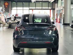 Tesla Model Y Rear-Wheel Drive - ფოტო 8
